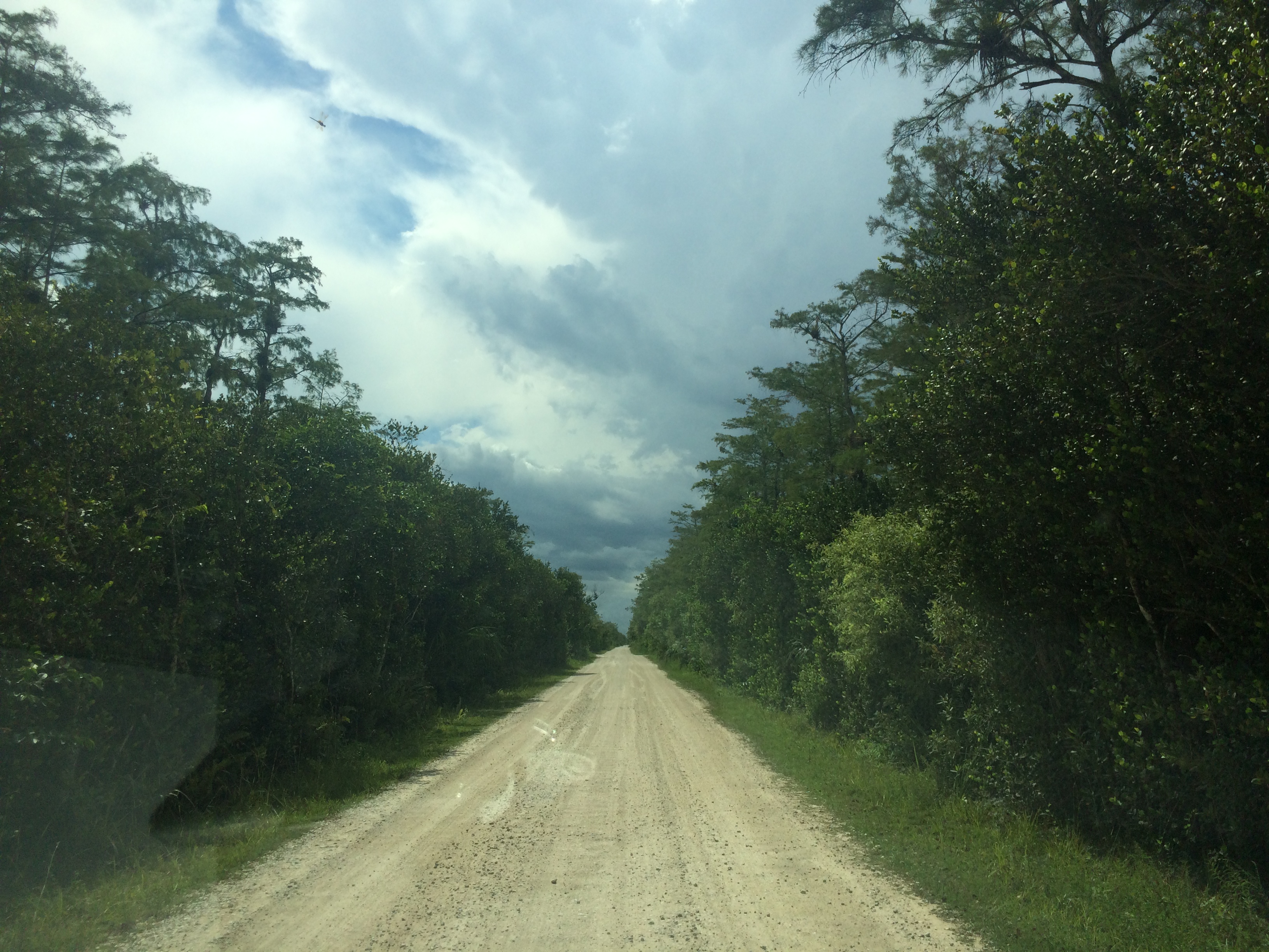 Everglades
